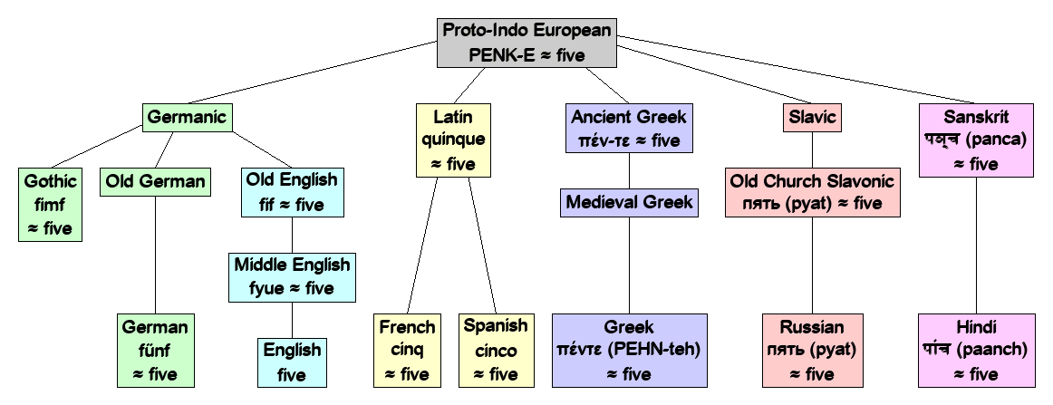 Linguistic diagram of five