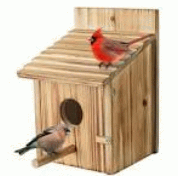 Birdhouse of cardinals